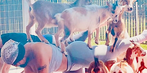 Goat Yoga Houston At Little Woodrows Webster May 11th 10AM primary image