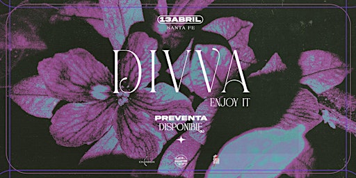 Imagen principal de DIVVA NIGHT