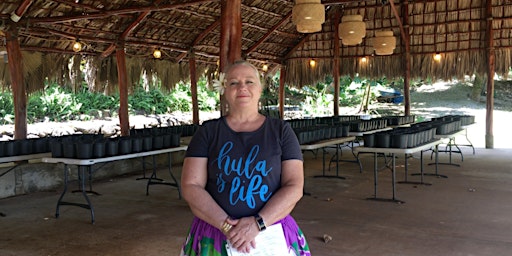 Imagen principal de (Zoom) Simple Hula - "Hōkūleʻa, Star of Gladness"