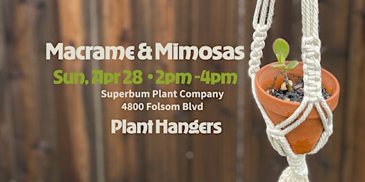 Macrame & Mimosas - April - Plant Hangers  primärbild