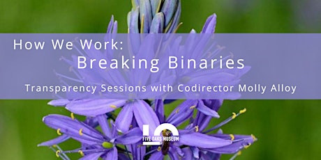 Imagem principal do evento How We Work: Breaking Binaries
