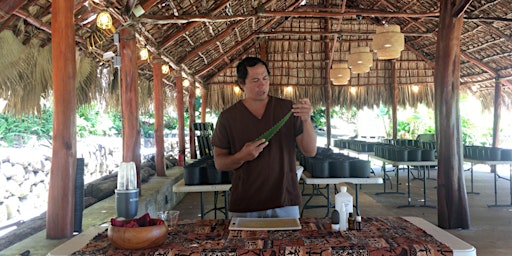 Primaire afbeelding van (Zoom) Lāʻau Lapaʻau Workshop