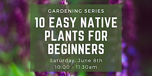 Imagem principal do evento Gardening Series:10 Easy Native Plants for Beginners