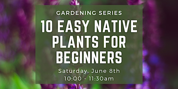 Gardening Series:10 Easy Native Plants for Beginners