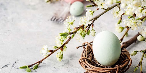 Hauptbild für Willow Creek Women's Hospital Easter Egg Hunt