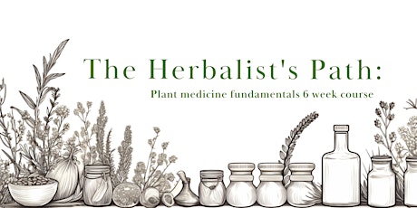 The Herbalist's Path: plant medicine fundamentals course
