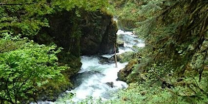 Primaire afbeelding van ♥Olympic National Park and Adventure♥