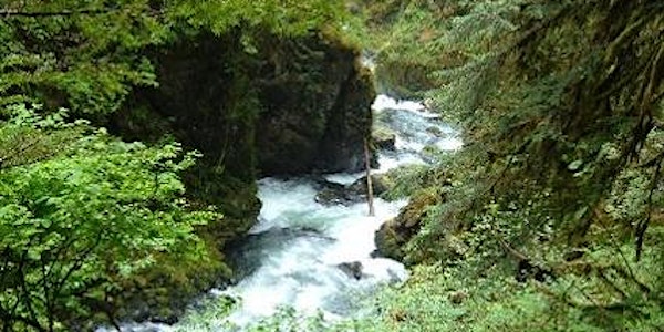 ♥Olympic National Park and Adventure♥