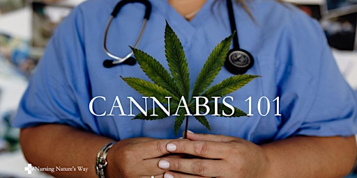 CANNABIS 101 primary image