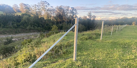 Primaire afbeelding van Hastings River Planting Day