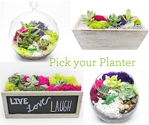 Imagem principal do evento Plant Nite: Make a Succulent Terrarium