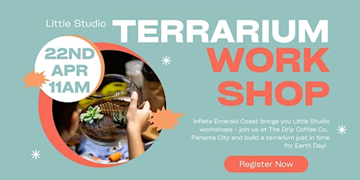 Imagen principal de Terrarium Building Workshop