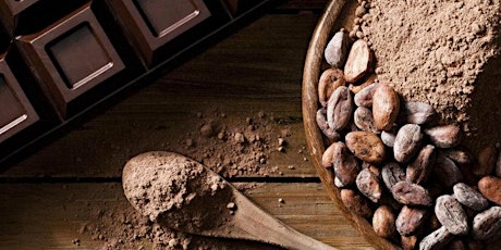 Imagen principal de Taller del Cacao Mexicano