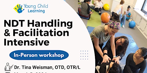 NDT Handling & Facilitation Intensive primary image