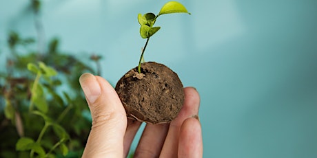 Make a seed ball workshop! (School Years 2-6)