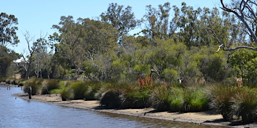 Imagem principal de Djurandi Dreaming River Walk