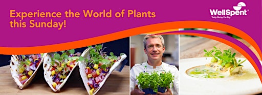 Collection image for Experience the World of Plants with Koppert Cress
