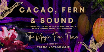 Imagem principal de Cacao, Fern & Sound: The Magic Fern Flower