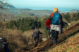 Somerset Highs & Lows: Chard to the Quantock Coast - 39 miles over 3 days  primärbild