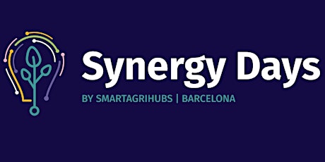 Primaire afbeelding van Synergy Days 2024