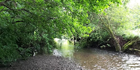 Webinar: recovering nature in the Lugg Valley