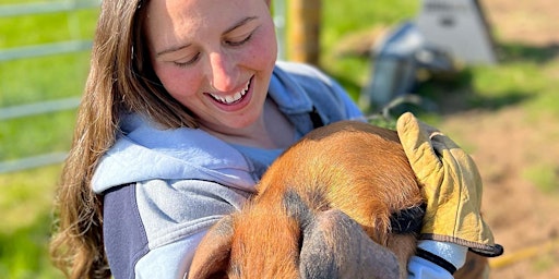 Arngask Home Farm Mini Tours (Easter Holidays) primary image