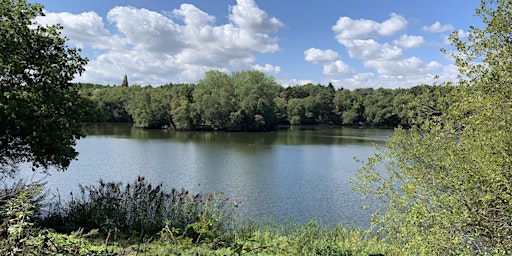 Wellesley Woodlands Health Walk - Chalk Farm Lake primary image