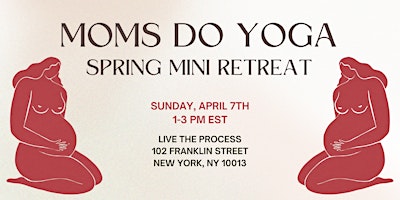 Primaire afbeelding van Moms Do Yoga Spring Mini Retreat