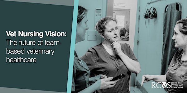 Vet Nursing Vision: The future of team-based veterinary healthcare