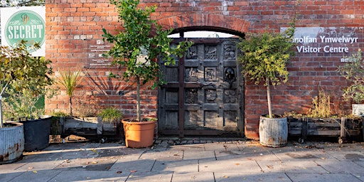 Dawn Chorus |  Côr y Bore Bach primary image