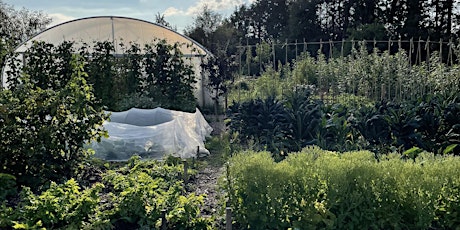 A Taste of Permaculture Design