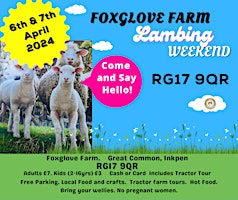 Hauptbild für Foxglove Farm Lambing Weekend