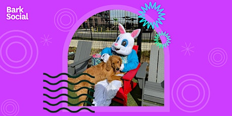 FREE Pictures with the Easter Bunny!