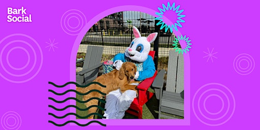 Imagem principal do evento FREE Pictures with the Easter Bunny!