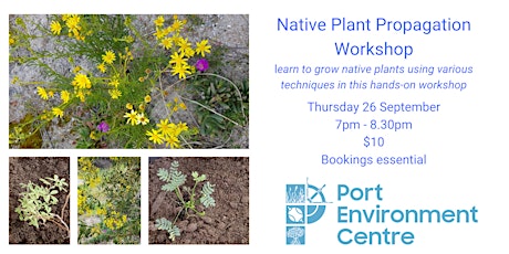 Native Plant Propagation workshop primary image