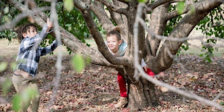 Historic Woodward Arboretum Tree Walk