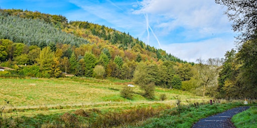 Hauptbild für Landscape & Woodland Design Workshop