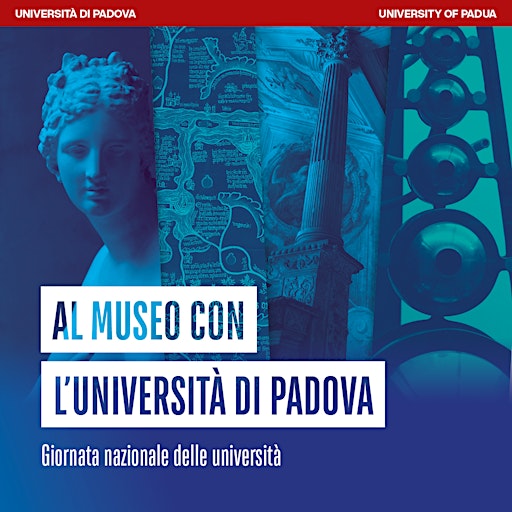 Collection image for Università svelate