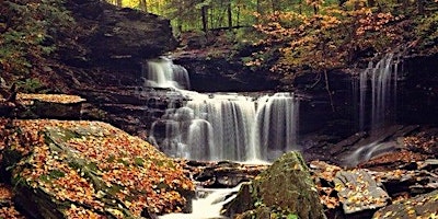 Ricketts Glen State Park primary image