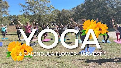 Yoga  & Calendula Flower Harvest