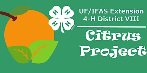 Primaire afbeelding van 2024- 2025 District VIII 4-H Citrus Tree Purchase