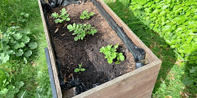 Hauptbild für Chatham Place Community Garden