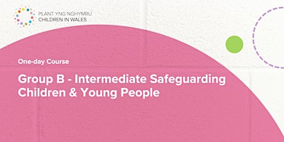 Primaire afbeelding van Group B -  Intermediate Safeguarding Children & Young People