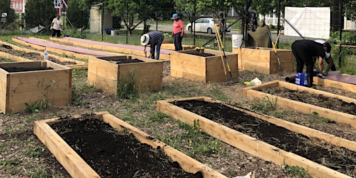 Raised Bed Construction Techniques primary image