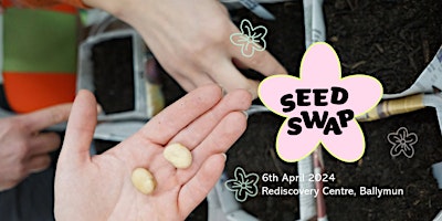 Seed+Swap+at+the+Rediscovery+Centre%21