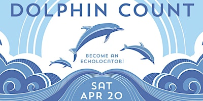Hauptbild für Dolphin Count 2024