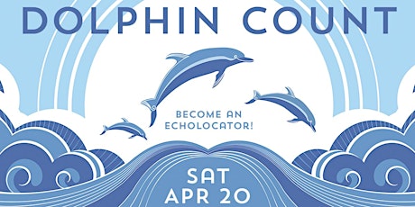 Dolphin Count 2024