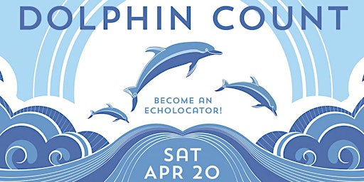 Hauptbild für Dolphin Count 2024