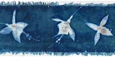 Cyanotype Prints on Fabric primary image