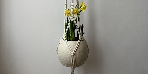 Immagine principale di Macrame Plant Hanger 